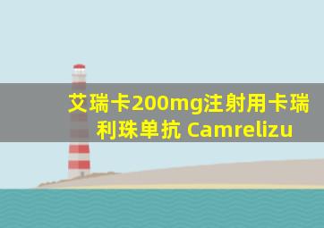 艾瑞卡200mg注射用卡瑞利珠单抗 Camrelizu